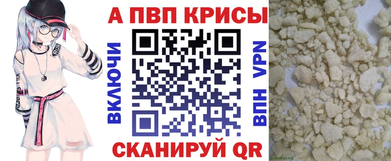 А ПВП СК  Балтийск 