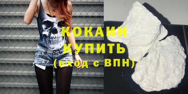 стаф Ростов