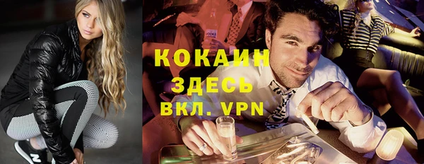 стаф Ростов