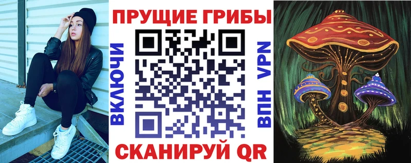 цены Балтийск Галлюциногенные грибы прущие грибы